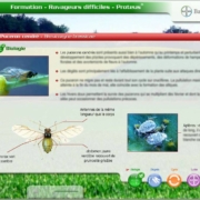 elearning agrochimie